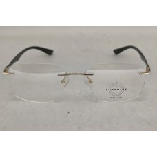 BLICKMANN IP 42131 T 001