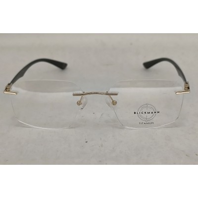 BLICKMANN IP 42131 T 001